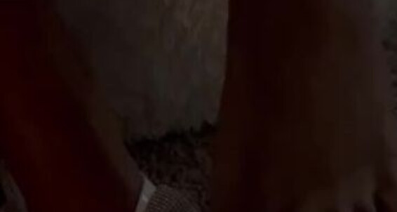 Queenjodiieetoes - Fire Onlyfans Aka Prettyfeetonly1800 So This Pedi Is Just
