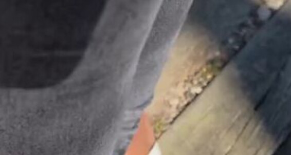 Queenjodiieetoes - Enjoy It T Onlyfans Aka Prettyfeetonly1800 Idk Didn Post Why S Yesterday Video