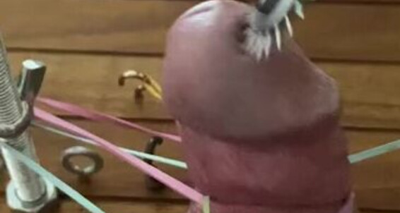 Lady Dark Angel, Video: Miss My For Spikes Ladydarkangeluk T Bestie Cock Loads With Dec Courtney Tickled Missing Onlyfans Trapped Can And Wait