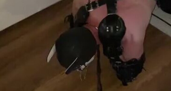 Cover Ladydarkangeluk Onlyfans Come On Pup Tramplingforfun