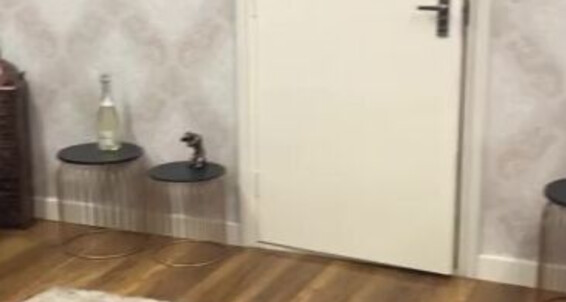 Lady Dark Angel - Mins Things New Getting Onlyfans Dungeon Of Ladydarkangeluk Sorted Few Area Tour Slowly