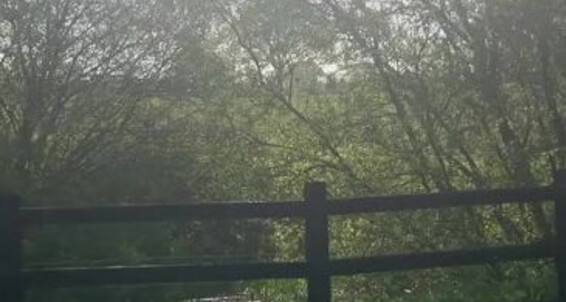 Lady Dark Angel - Peaceful Quiet And My Glorious So Eating Onlyfans Ladydarkangeluk Sunshine Breakfast View