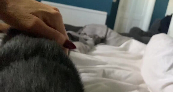 Cover Ladydarkangeluk Onlyfans When It S My Turn To Stay In Bed I Get Cuddles From This Little One