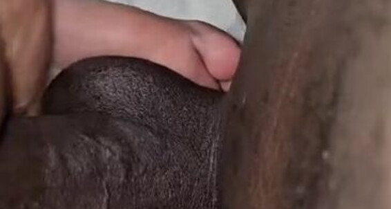 Cover Toesbeforebros Onlyfans After The Feet In Face Handjob I Wanted To Cum On Solesmadvip Soft Soles The Way