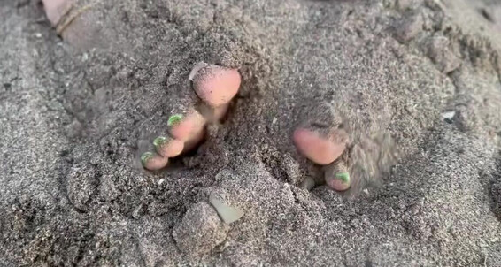 Paws And Klaws - From 30 Fetish Couple And Foot Paws 2024 My Evening2 08 Onlyfans Videos Klaws Beachy Video