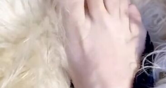 Cover Queen Rainha Onlyfans New Color Slow Motion Cor Nova Cmera Lenta2