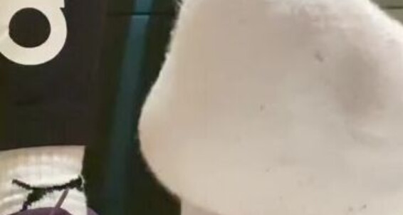 Cover Queen Rainha Onlyfans Smell Lick Suck Great Smell Warm Soft Cheira Lambe Chupa Timo Cheiro Quentes Macios
