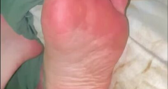 Cover Queen Rainha Onlyfans Soft And Pinkmacia E Rosa No Filter Sem Filtro