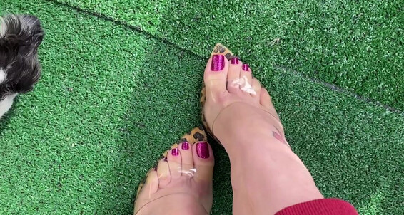 Queen Rainha - Queen Onlyfans 465 Rainha Video