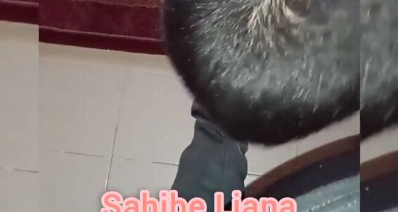 Goddessliana - Zevk Liana Onlyfans Aka 07 Ok Etmekten Cidden Size 04 Sahibe 2022 Alyorum Eziyet