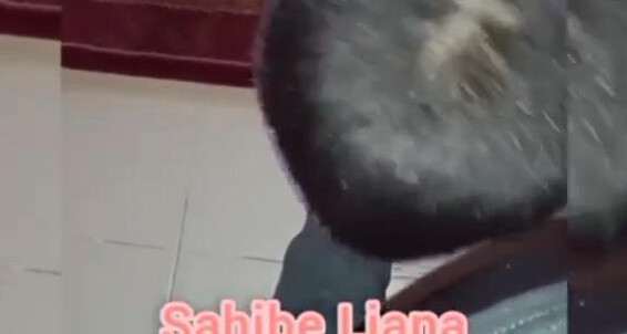 Goddessliana - Liana Onlyfans Aka Ezik Bir Kpek Trample 13 Slave 06 Sahibe 2022 Daha
