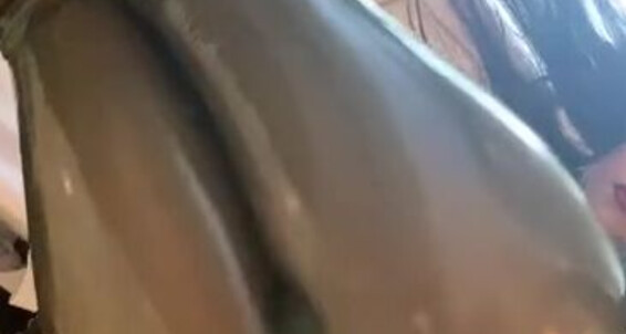 Mistressyouko - Shiny 2024 Body Every Onlyfans Inch Of 09 My Worship Slave 12 Video Findom