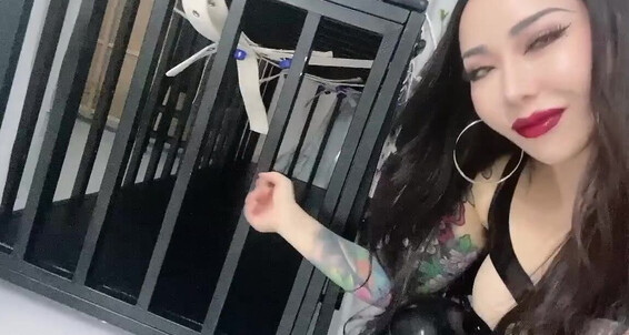 Mistressyouko - You Control Do 07 Live Under Findom Want And 10 The Pet Rest To Of Video For 2024 Onlyfans Be My