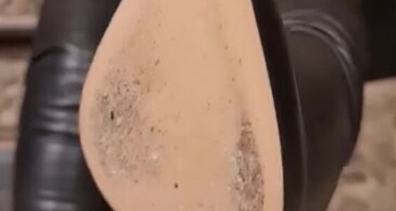 Fetishliza - Come Skills Be Closer Your And Cum Me You But Allowed To Onlyfans Licking Boot Will Show