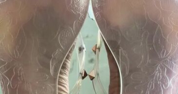 Goddesspussyfoot - Flip And Soles Goddess Onlyfans Aka My Jelly Clear U186296307 Flops Pussyfoot Divine Vqj