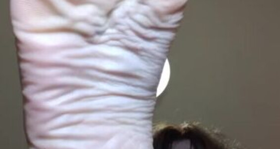 Olgainfinity - On Pov Put Olga Your Want My Aka I To Onlyfans Face Infinity Feet