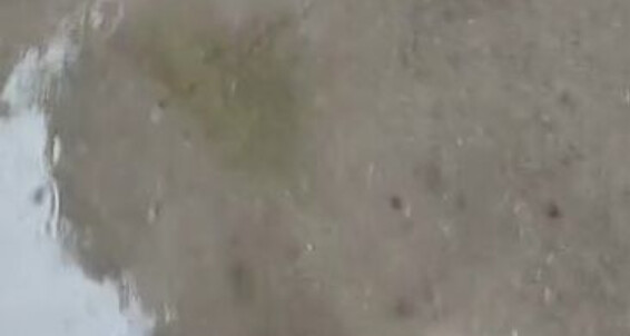 Olgainfinity - Caught Olga Was Aka I Downpour Onlyfans Infinity