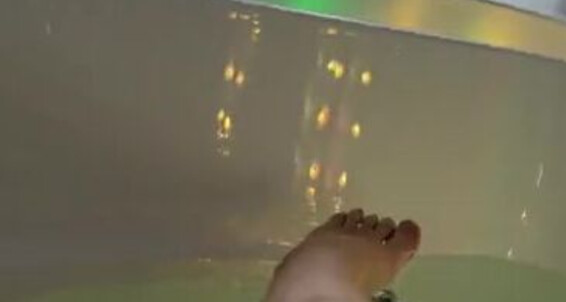 Goddess Sofi - It Sofi Money Goddess Onlyfans Take I Mouth Fuck All Your Femdom Want