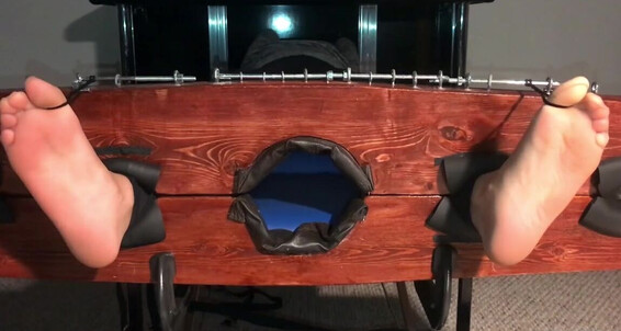 Devilsfootstool - The Onlyfans In Tickled Stocks Tina