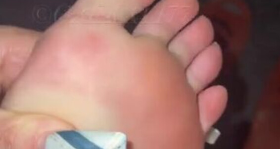 Greek Goddess Li, Video: Goddess Smell Get Onlyfans Li Aka C1T Greekli77 Stench Greek Here And In This