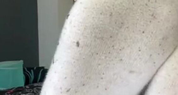 Goddess Kira, Video: Smell Onlyfans Them My Slave Then Femgoddesskira And Clean Thoroughly Legs Pig Armpits