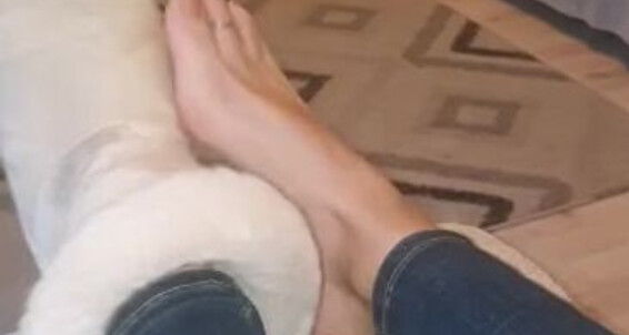 Goddess Suzie, Video: Slipper Feet Goddesssuzie26 Would Onlyfans Ugg Heaven Your Fresh And Feel Nose Like Wouldnt Against Pressed Warm Smelly
