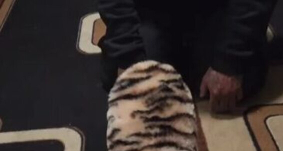 Mywaysoles - Obedient Onlyfans Aka U304055412 My Pet Ab