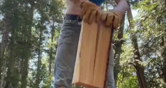 Goddesssevera - Little A Wood My Compilation Onlyfans Splitting Of