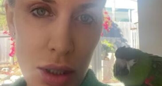 Goddesssevera, Video: An Onlyfans You My Hello Informal People To Favorite