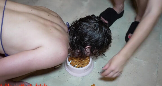 Missvsp - Bitch Punishment And 5 P Kingdom Of Full Volleyball Part Slaves Hd Mp4 Feet