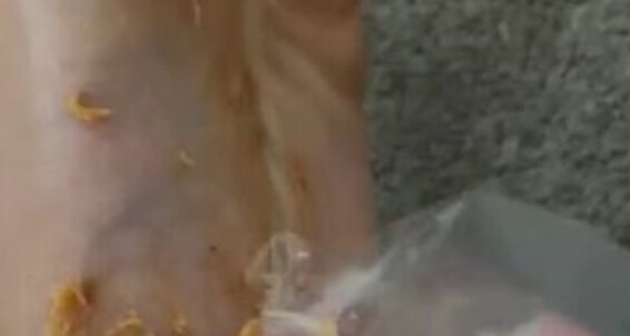 Zafeetllc, Video: Onlyfans Soles In Beans