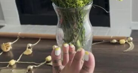 Zafeetllc - Wiggles Scrunches Onlyfans Table Toe Coffee