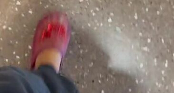 Zafeetllc - Best Slides Are School Onlyfans 1 Granny The Old