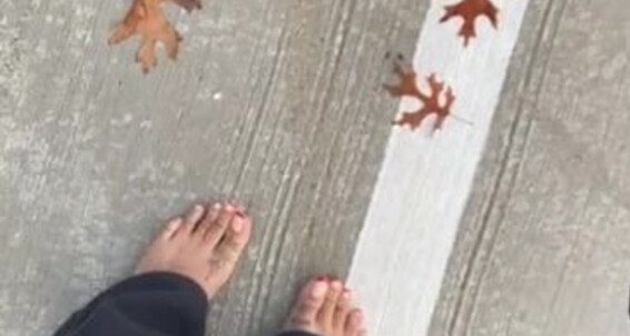 Zafeetllc - Video Onlyfans 342