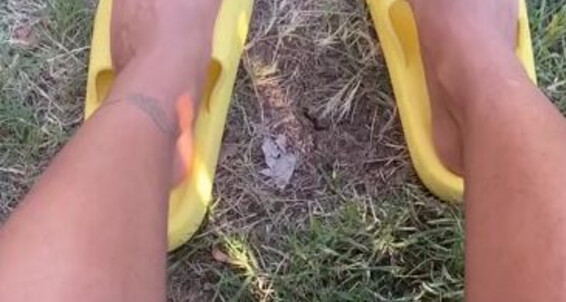 Zafeetllc, Video: Onlyfans The Wiggling Sun In
