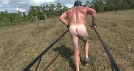 Clubdom, Video: Lessoninfemdomwithauntvenuspt2