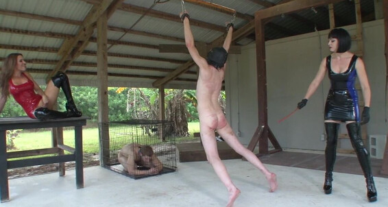 Clubdom, Video: S569Jeanbardotkylieroguepart4