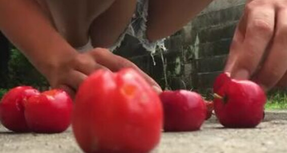 Goddess Ellen - Crush2 Onlyfans Goddessellen96