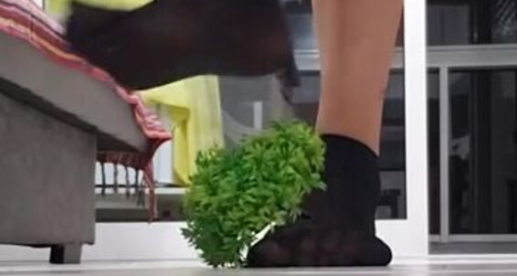 Goddess Ellen - Pov Giantess Onlyfans Goddessellen96