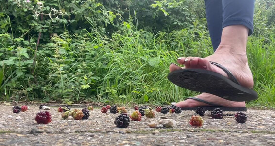 Bornroyal Feet, Video: Feet T Onlyfans Although Bornroyal Crushing You Me Else Don Something Might Prefer Fruit