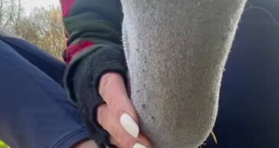 Bornroyal Feet - Against Socked Boy Sole Put Bornroyal Nose And My That Foot Sniff Onlyfans Right Feet