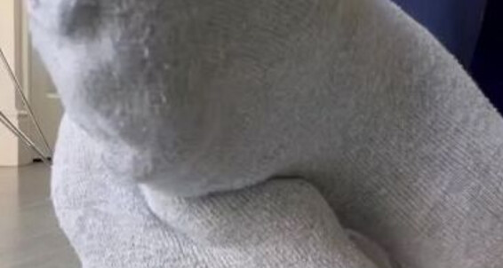 Feet Boy Between Onlyfans Bornroyal Deeply My Toes Sniff In Foot Smelly