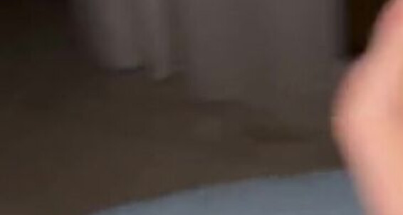 Its Queen, Video: S Its Onlyfans Aka Kylie Queen Wc Queenkylie Play Let