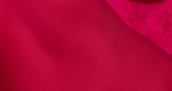 Autumn Orchid - Orchid 486707225725775872 Autumn