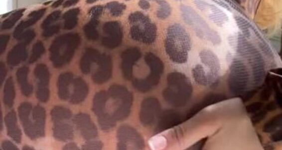 Olivia Fleur - Tightest Catsuit 6Jmy This 06 Me Oliviafleur Miaow Gives 2023 Onlyfans The Camel Toe X 07 Video