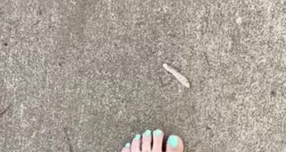 Poster for Amina Marie My Sexy Post Aminamarie But I To Some Onlyfans Love Shit Things Going 4 Them Snapping Later And Doing Feet With