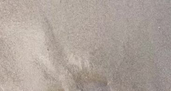 Poster for Evans Feet Wet Beach Sand Evans Sink My Into The Onlyfans Feet Watch
