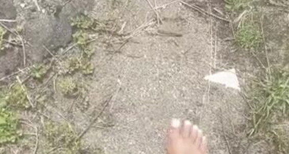 Inspire Erotics - Barefoot Msprettyfeet 18 2023 Onlyfans Through The 05 Video Jungle