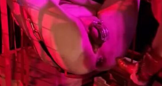 Lady Sara, Video: Lady Borgia Onlyfans Stuffing Christmas Sara A Shirleylsb