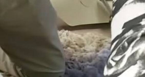 Lady Sara, Video: Lady Giving Borgia Onlyfans You Kicking Bit Sara A Of